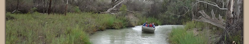 chowilla creek system