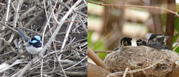 nature at border cliffs river retreat